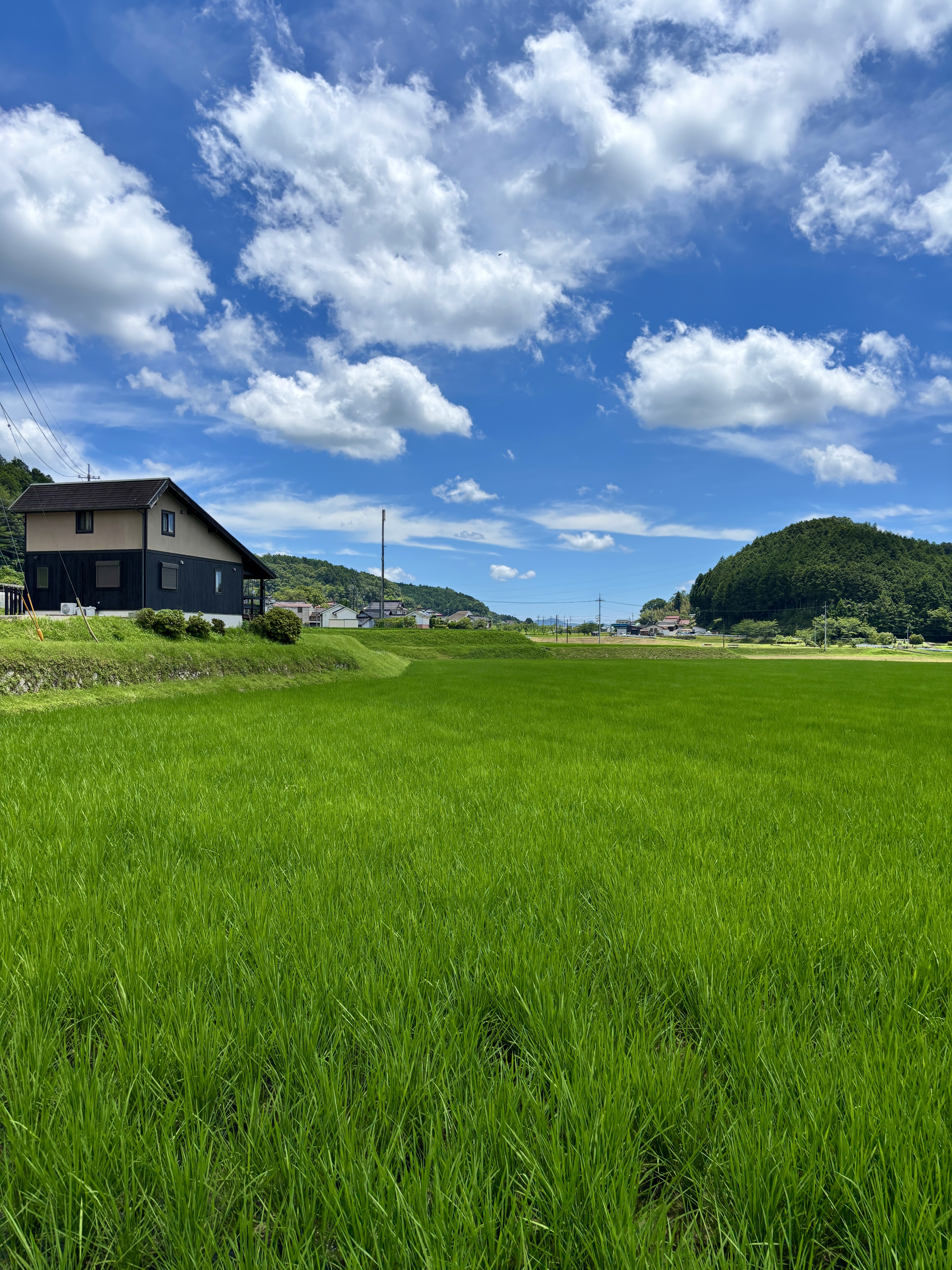 世羅の田園に佇む一棟貸しの外観